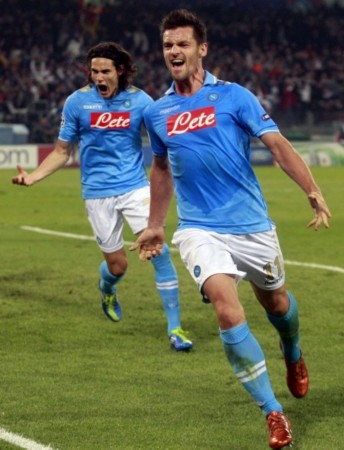 领域的蓬勃 领域的蓬勃